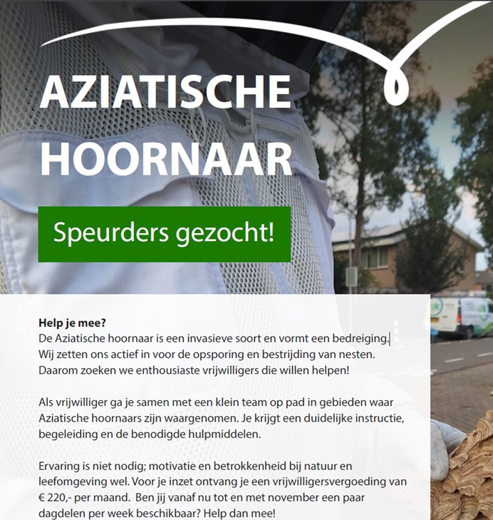 Gezocht: Speurder Aziatische Hoornaar